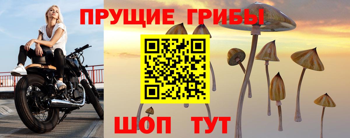 как найти закладки  Галлюциногенные грибы Psilocybine cubensis  Галлюциногенные грибы прущие грибы  Вход с VPN  Бахчисарай 
